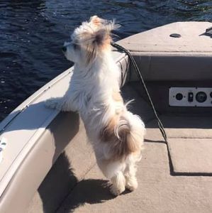 Meet your Posher, Sandra